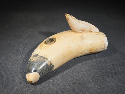 Antique Sperm Whale Tooth with Carved Seal Figure and Incised Details