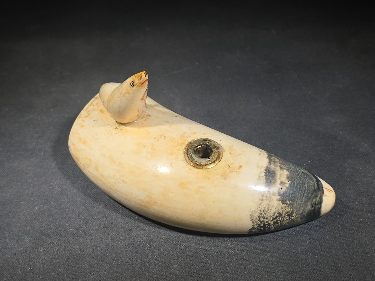 Antique Sperm Whale Tooth with Carved Seal Figure and Incised Details