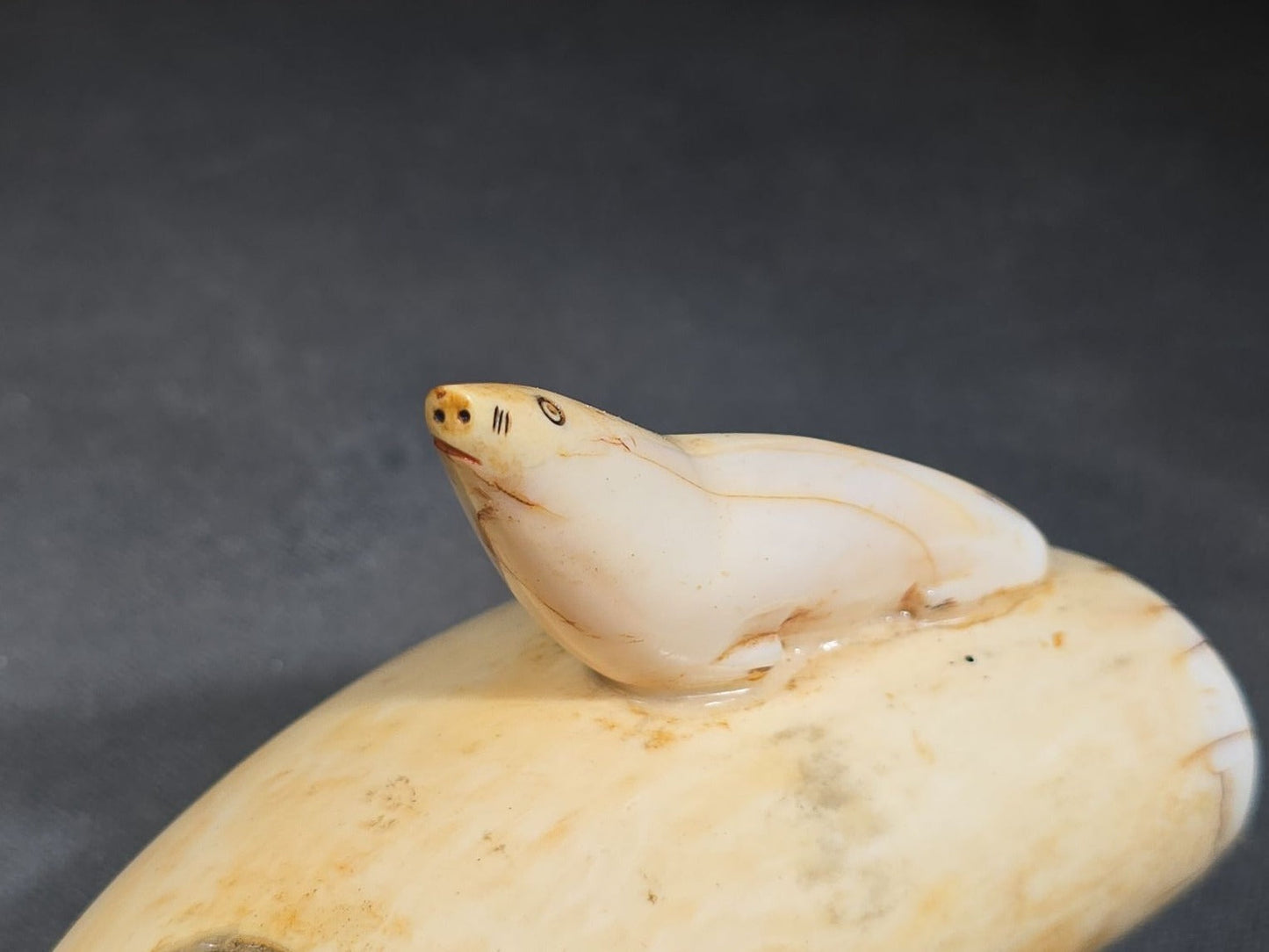 Antique Sperm Whale Tooth with Carved Seal Figure and Incised Details