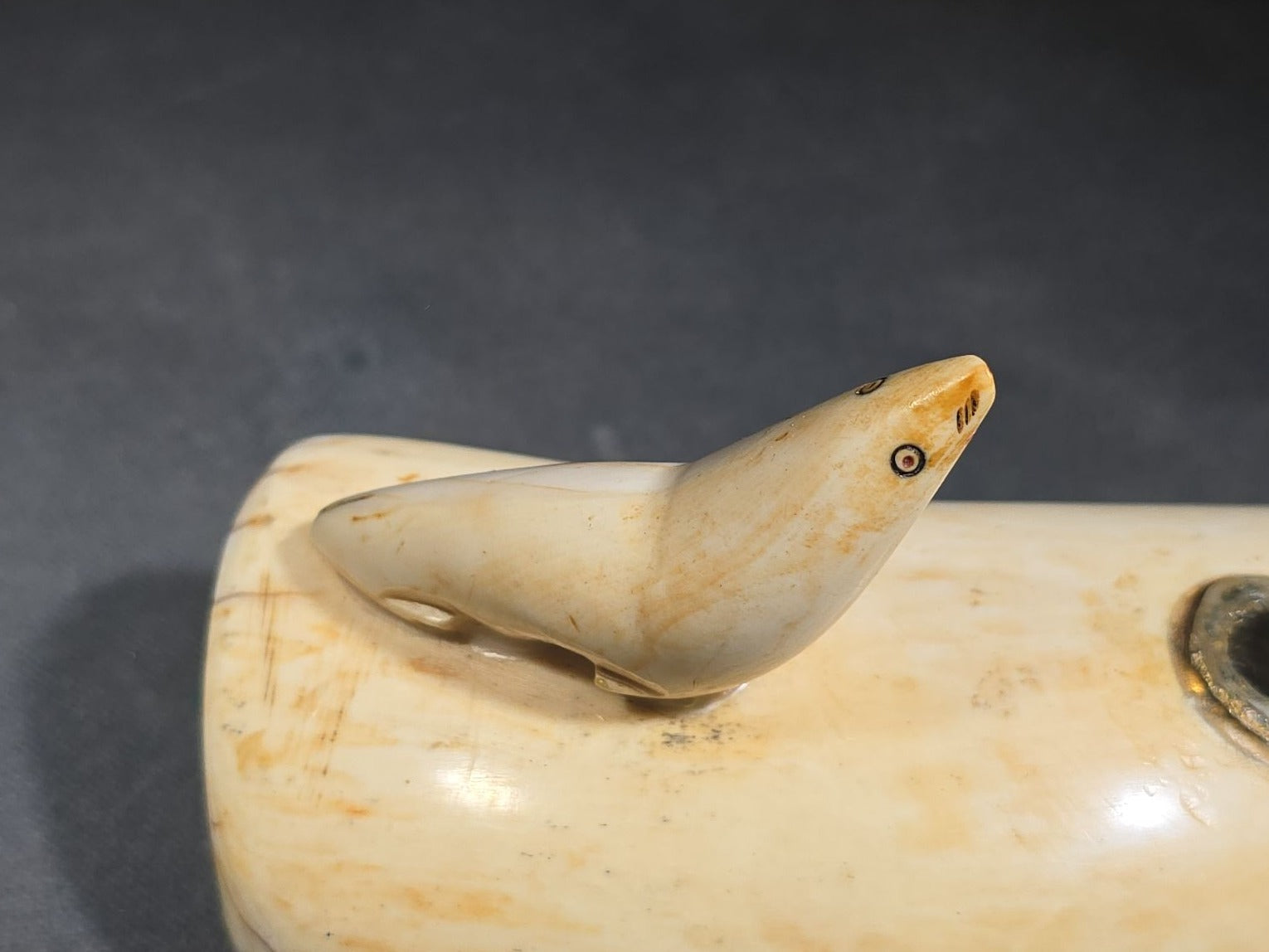 Antique Sperm Whale Tooth with Carved Seal Figure and Incised Details