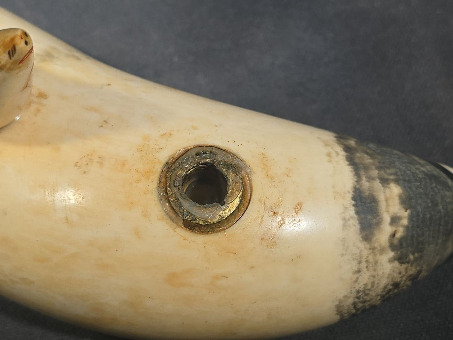 Antique Sperm Whale Tooth with Carved Seal Figure and Incised Details