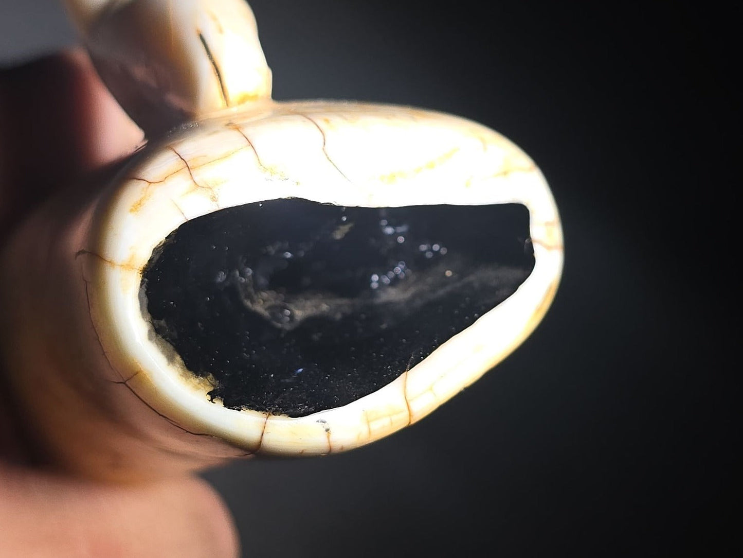 Antique Sperm Whale Tooth with Carved Seal Figure and Incised Details