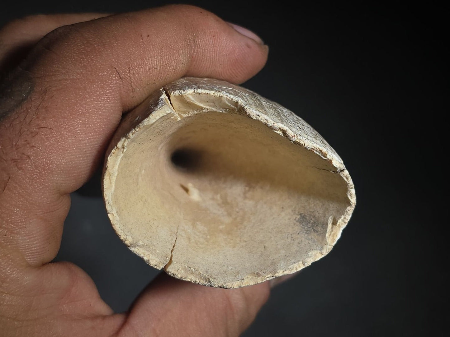 Antique Undecorated Whale Tooth