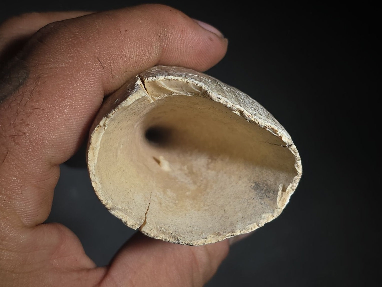 Antique Undecorated Whale Tooth