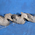Lot 155 - Trio of Antique Hand-Carved and Hand-Painted Wooden Duck Decoys with Glass Eyes and Rigging Lines