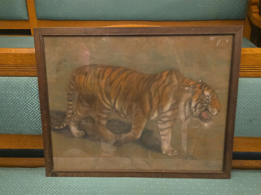Vintage Pastel Painting on Paper, Tiger, by Gladys Emerson Cook (American, 1894-1977)
