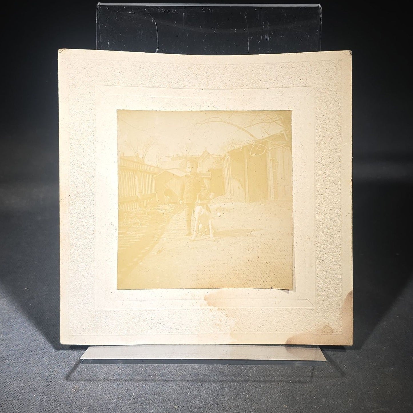 Grouping of Three Antique Westminster Kennel Club Dog Ephemera Pieces including 1895 Nineteenth Annual Bench Show Premium List with Spratts Patent Advertising, Illustrated Mailing Envelope, and Board-Mounted Photograph of a Child with a Dog