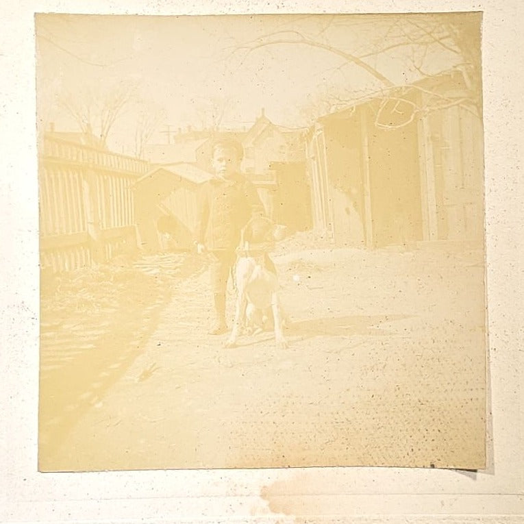 Grouping of Three Antique Westminster Kennel Club Dog Ephemera Pieces including 1895 Nineteenth Annual Bench Show Premium List with Spratts Patent Advertising, Illustrated Mailing Envelope, and Board-Mounted Photograph of a Child with a Dog