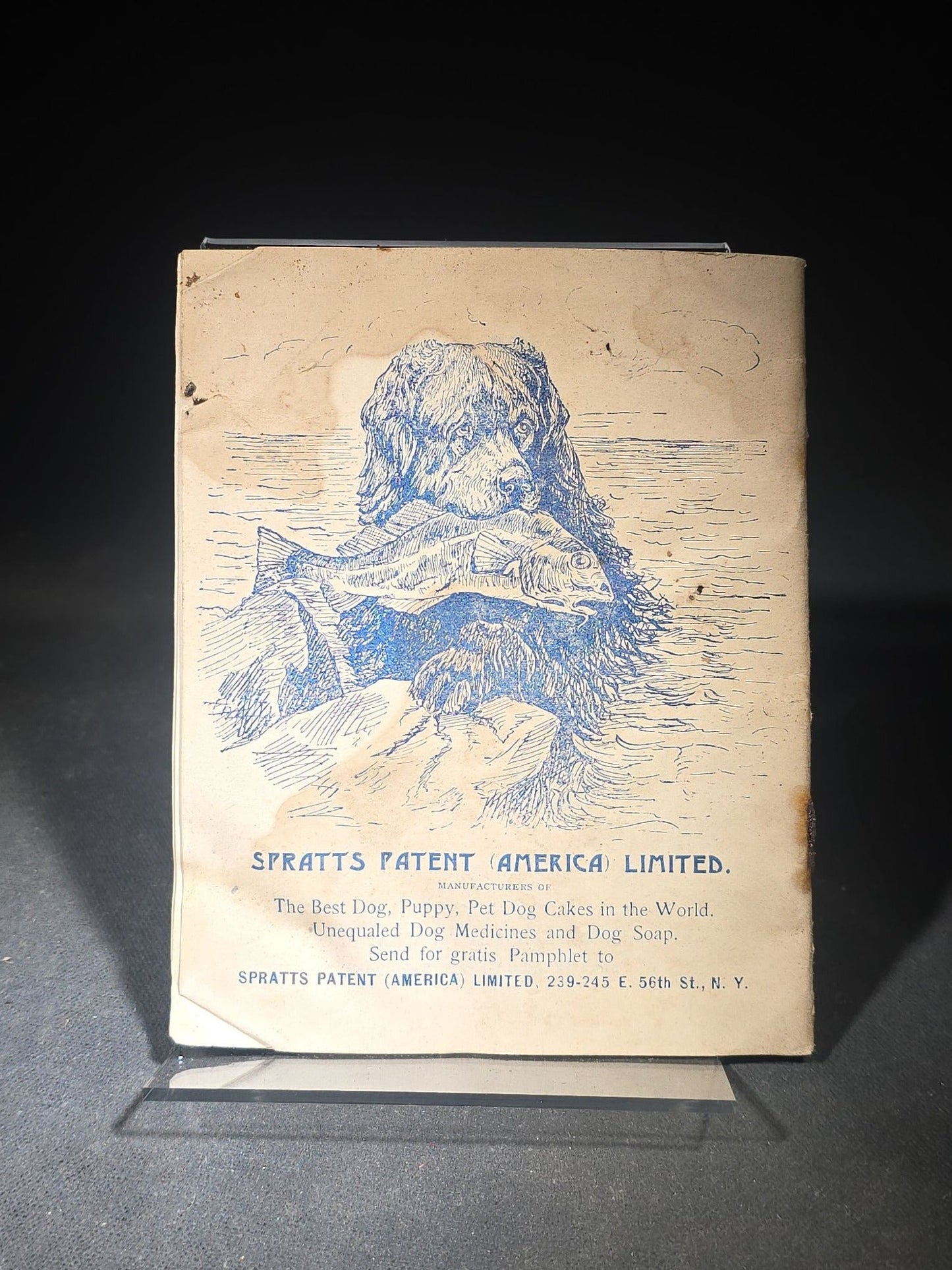 Grouping of Three Antique Westminster Kennel Club Dog Ephemera Pieces including 1895 Nineteenth Annual Bench Show Premium List with Spratts Patent Advertising, Illustrated Mailing Envelope, and Board-Mounted Photograph of a Child with a Dog