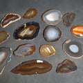 Lot 173 - Grouping of 15 Polished Agate Slices
