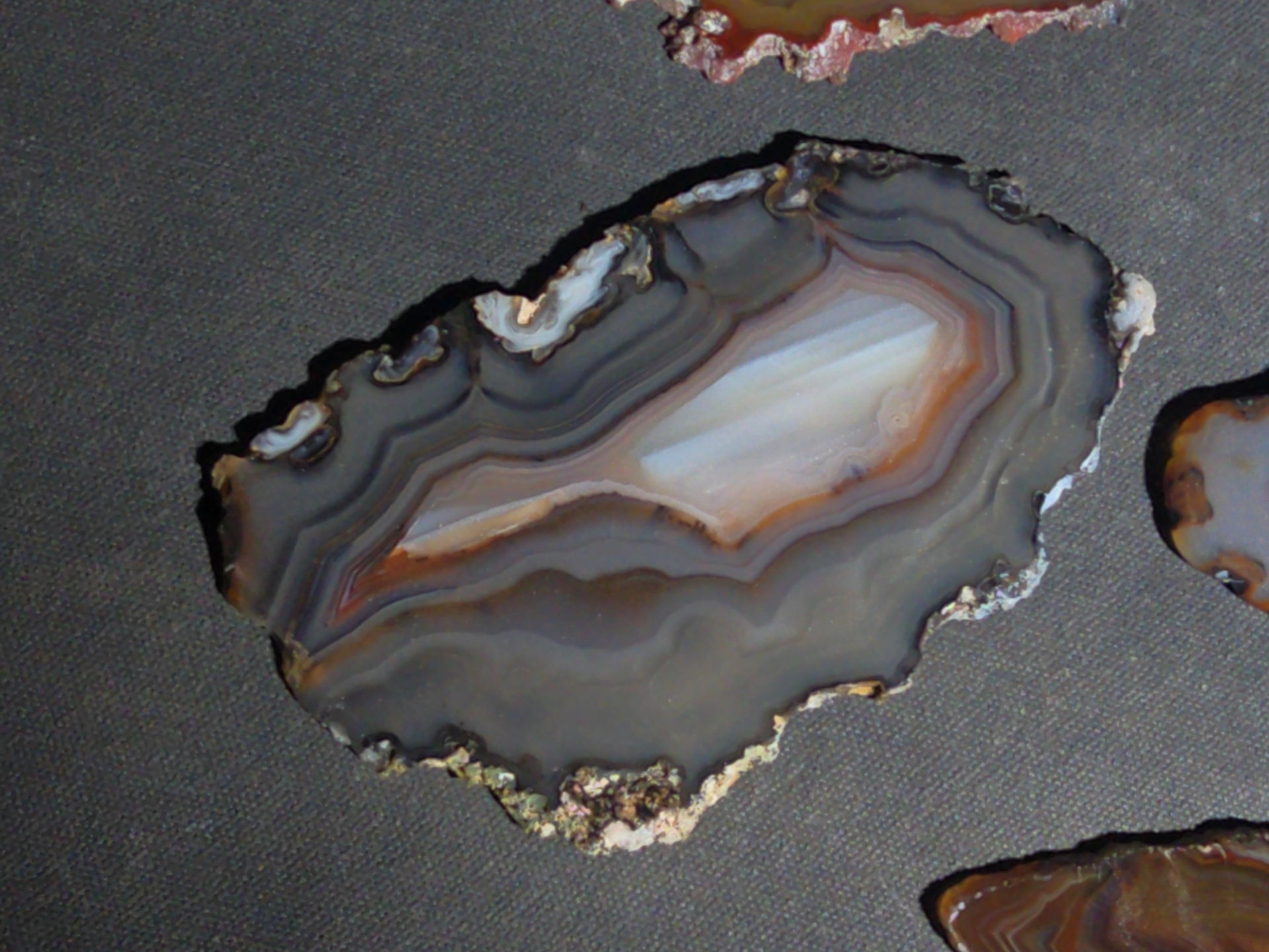 Grouping of 15 Polished Agate Slices