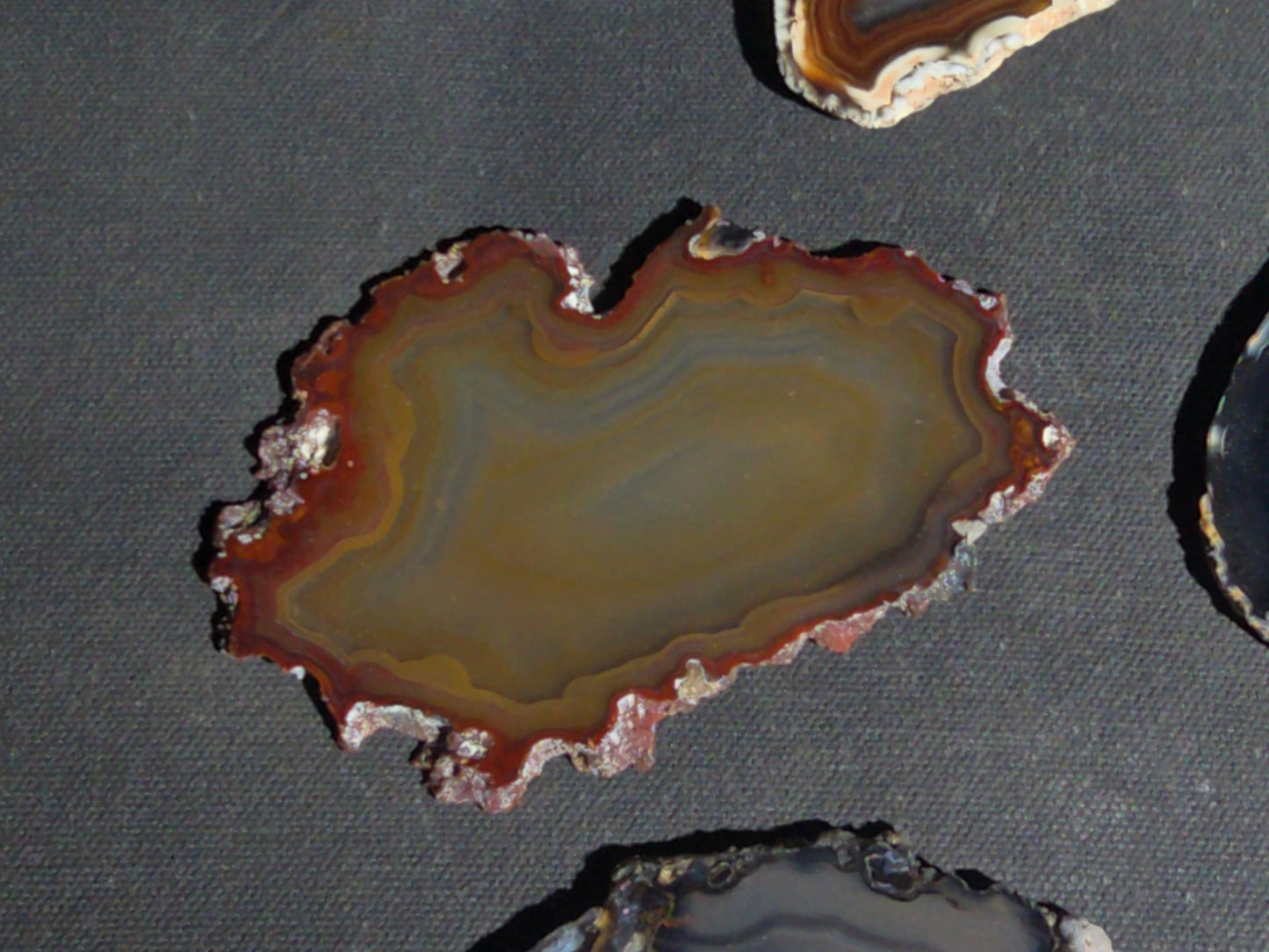 Grouping of 15 Polished Agate Slices