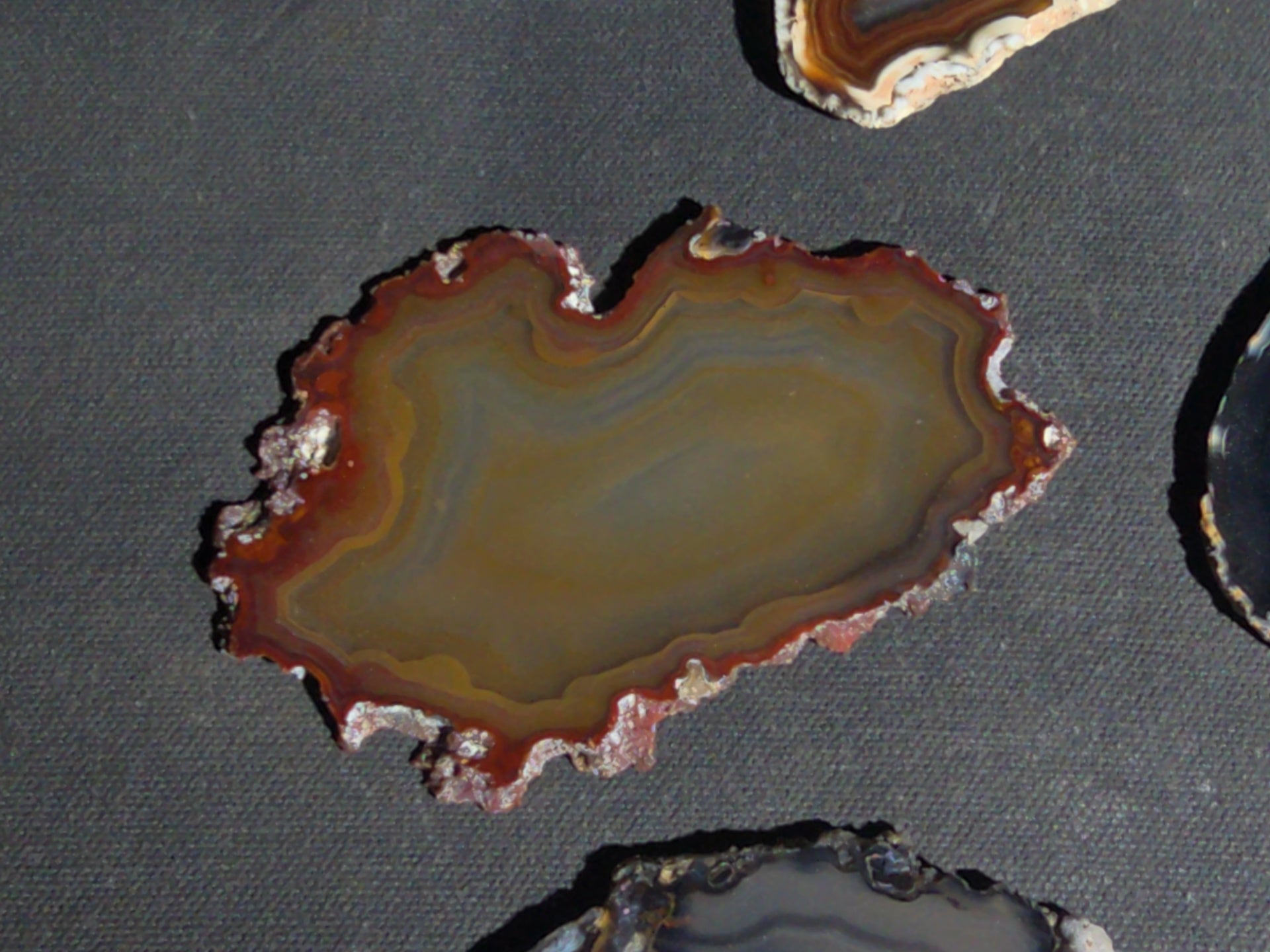 Grouping of 15 Polished Agate Slices