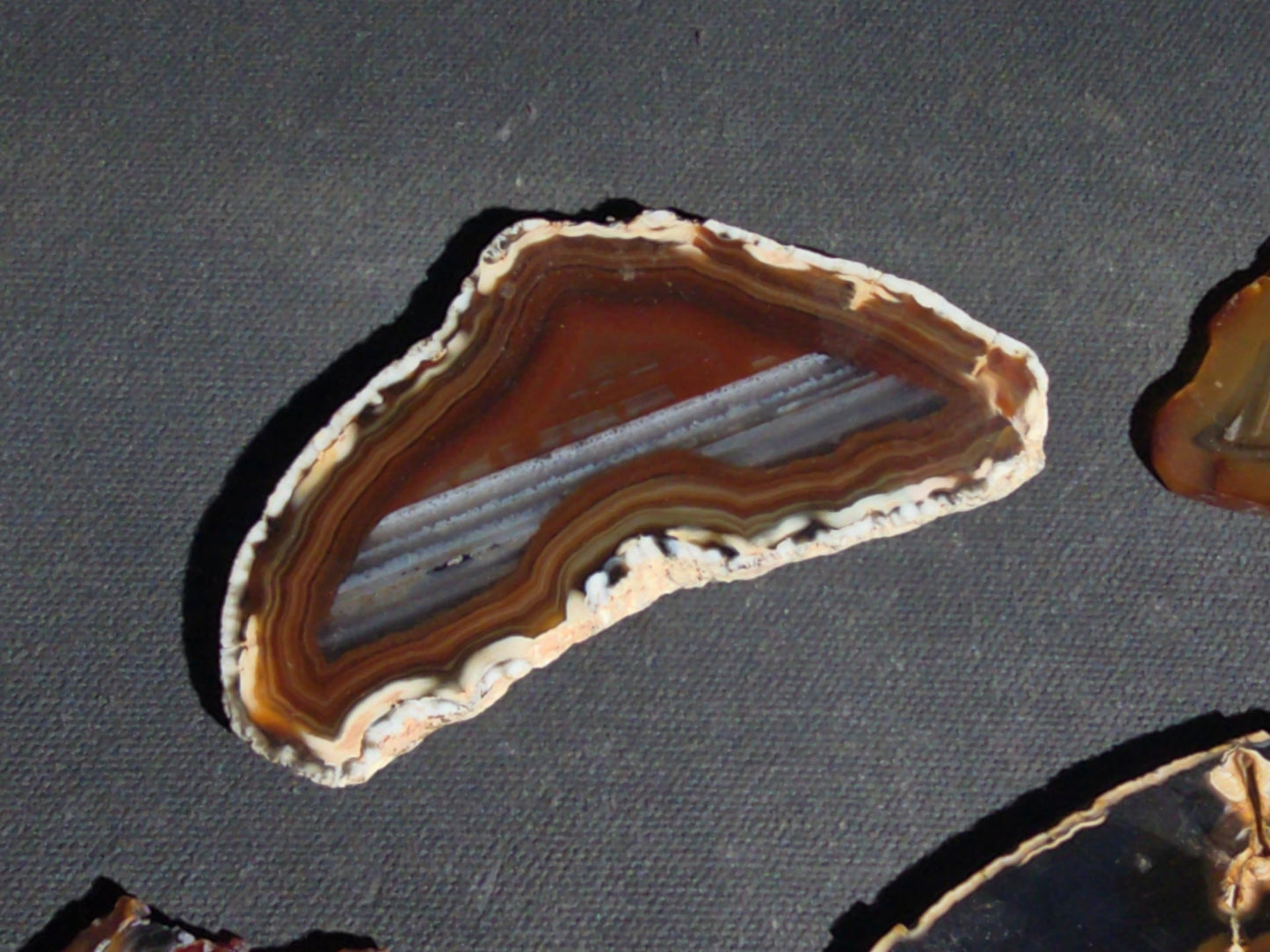 Grouping of 15 Polished Agate Slices