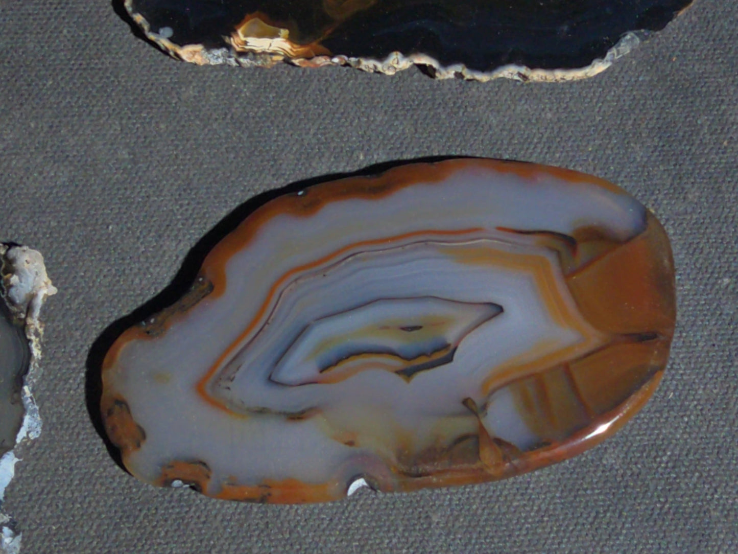 Grouping of 15 Polished Agate Slices