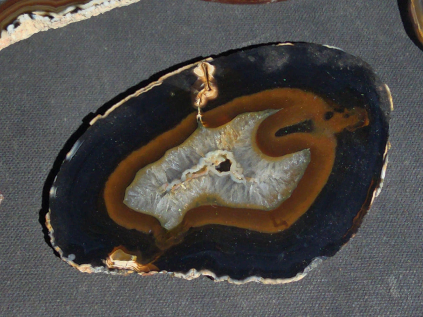 Grouping of 15 Polished Agate Slices