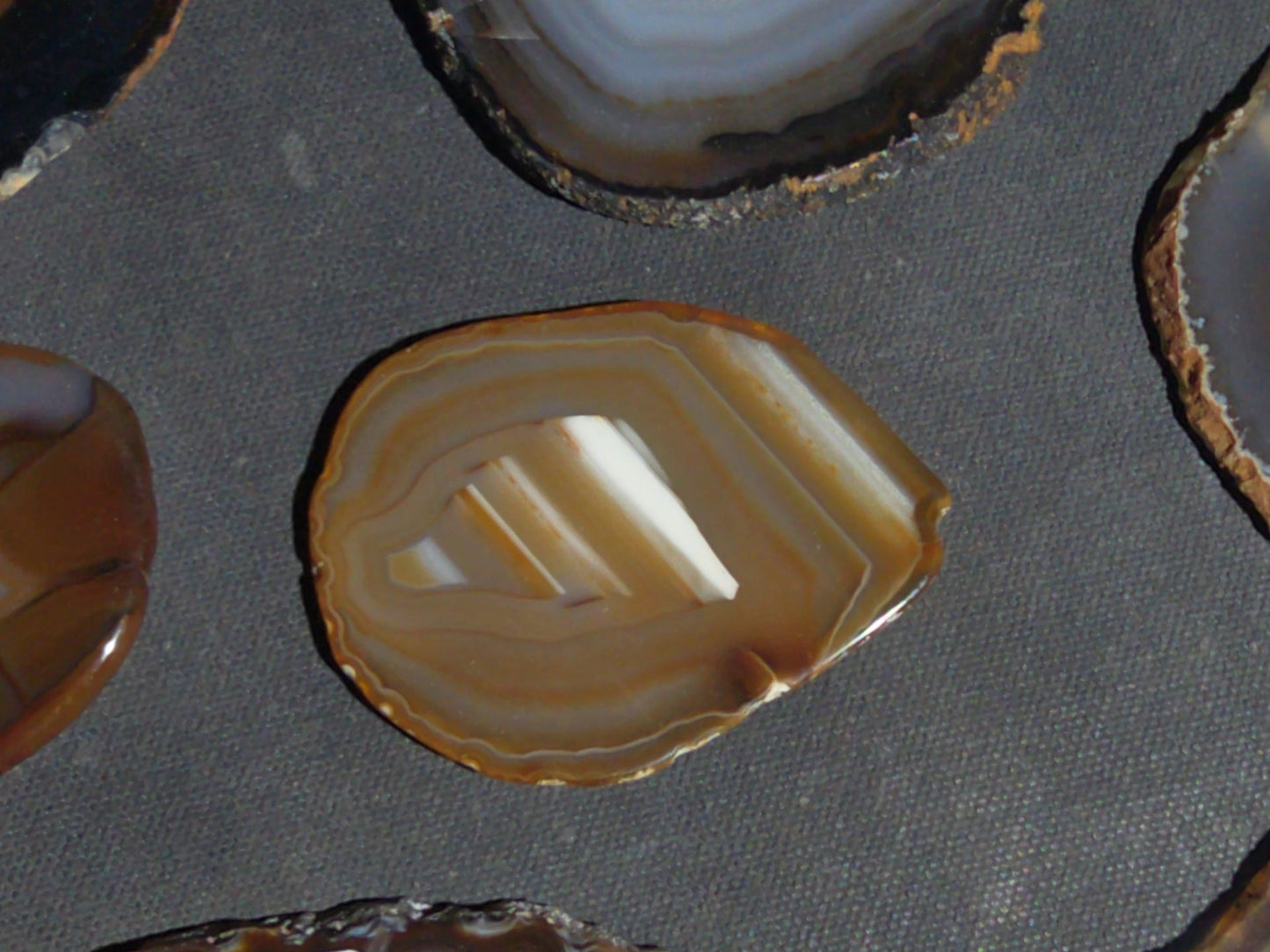 Grouping of 15 Polished Agate Slices