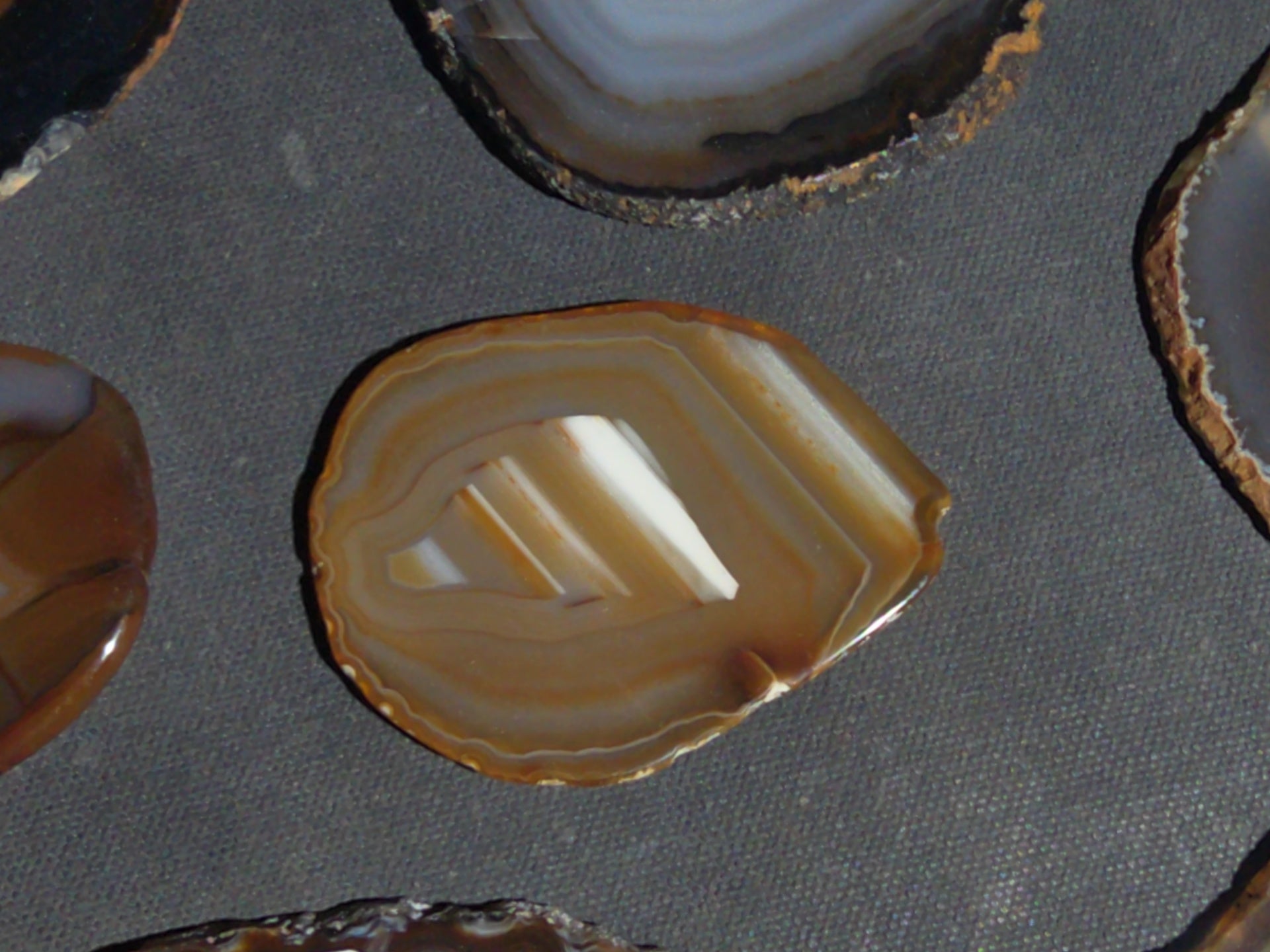Grouping of 15 Polished Agate Slices
