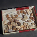 Lot 176 - Grouping of Mineral and Agate Specimens with Handwritten Note Referencing Crystal Caves, Pennsylvania