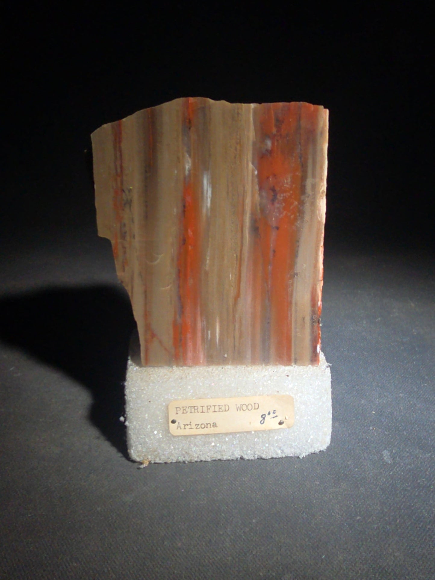 Polished Petrified Wood Slab Specimen, Labeled Arizona