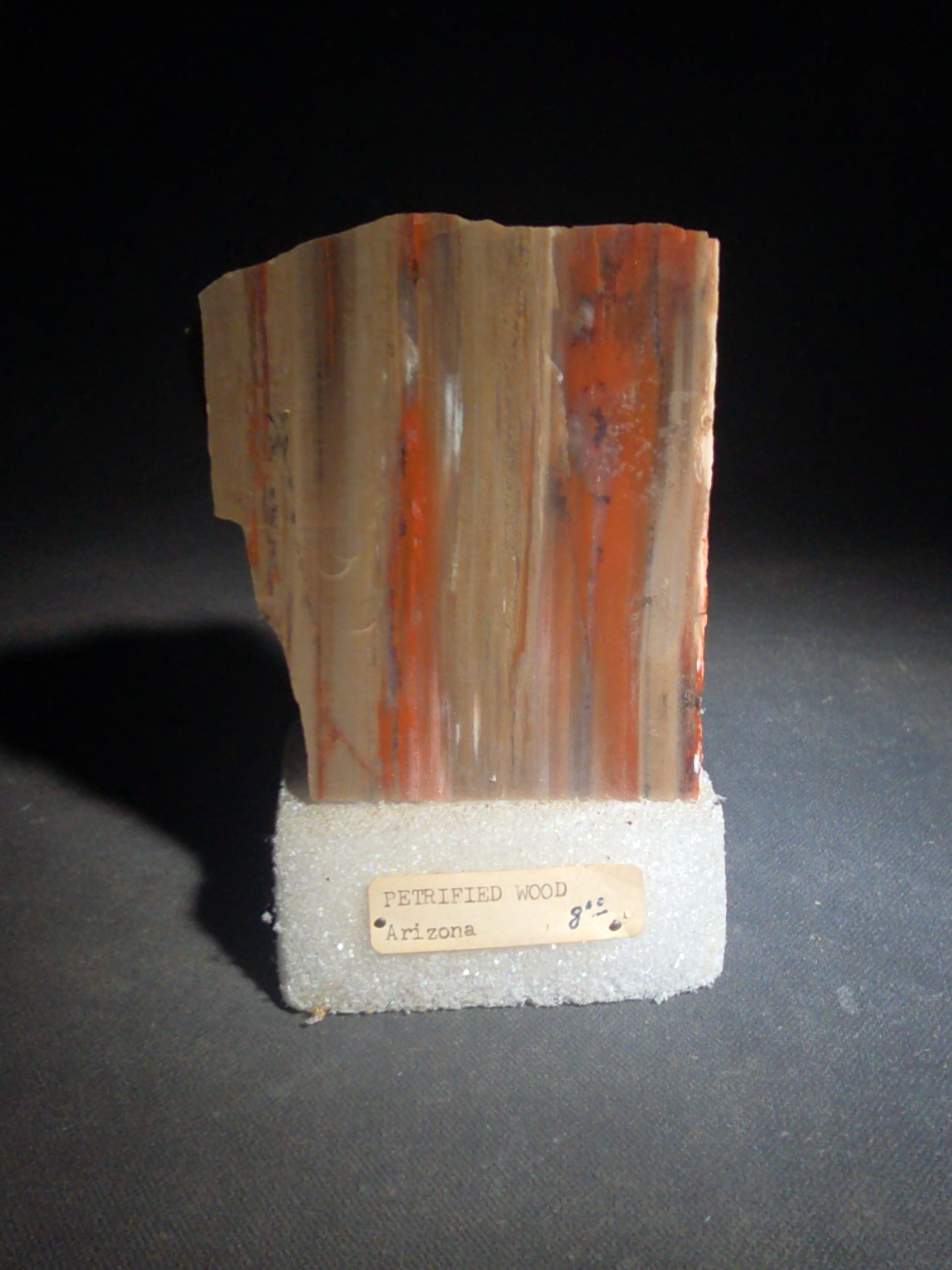 Polished Petrified Wood Slab Specimen, Labeled Arizona