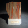 Lot 180 - Polished Petrified Wood Slab Specimen, Labeled Arizona