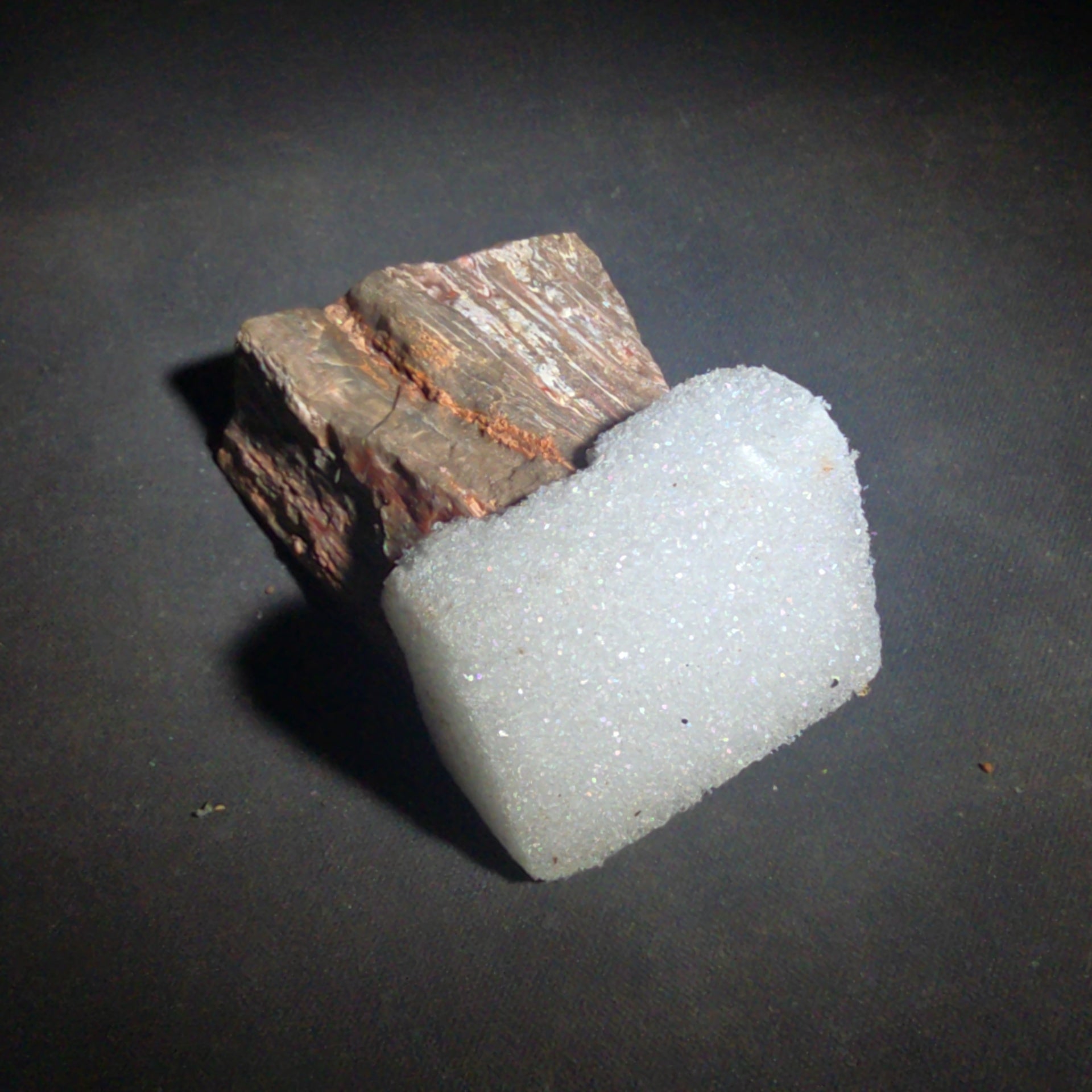 Polished Petrified Wood Slab Specimen, Labeled Arizona