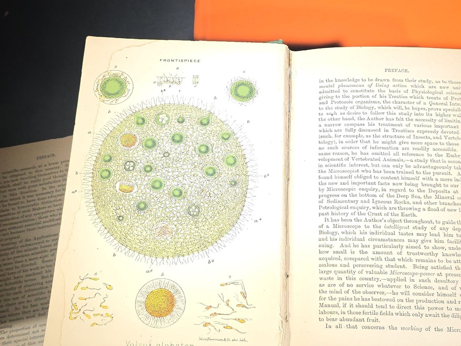 Grouping of Four Antique and Vintage Books including "The Microscope and Its Revelations" by William B. Carpenter, "They Called It Purple Heart Valley" by Margaret Bourke-White, "The Encyclopedia of UFOs," and "A History of Secret Societies"