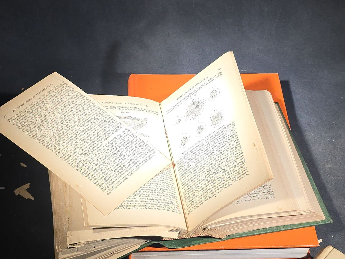 Grouping of Four Antique and Vintage Books including "The Microscope and Its Revelations" by William B. Carpenter, "They Called It Purple Heart Valley" by Margaret Bourke-White, "The Encyclopedia of UFOs," and "A History of Secret Societies"