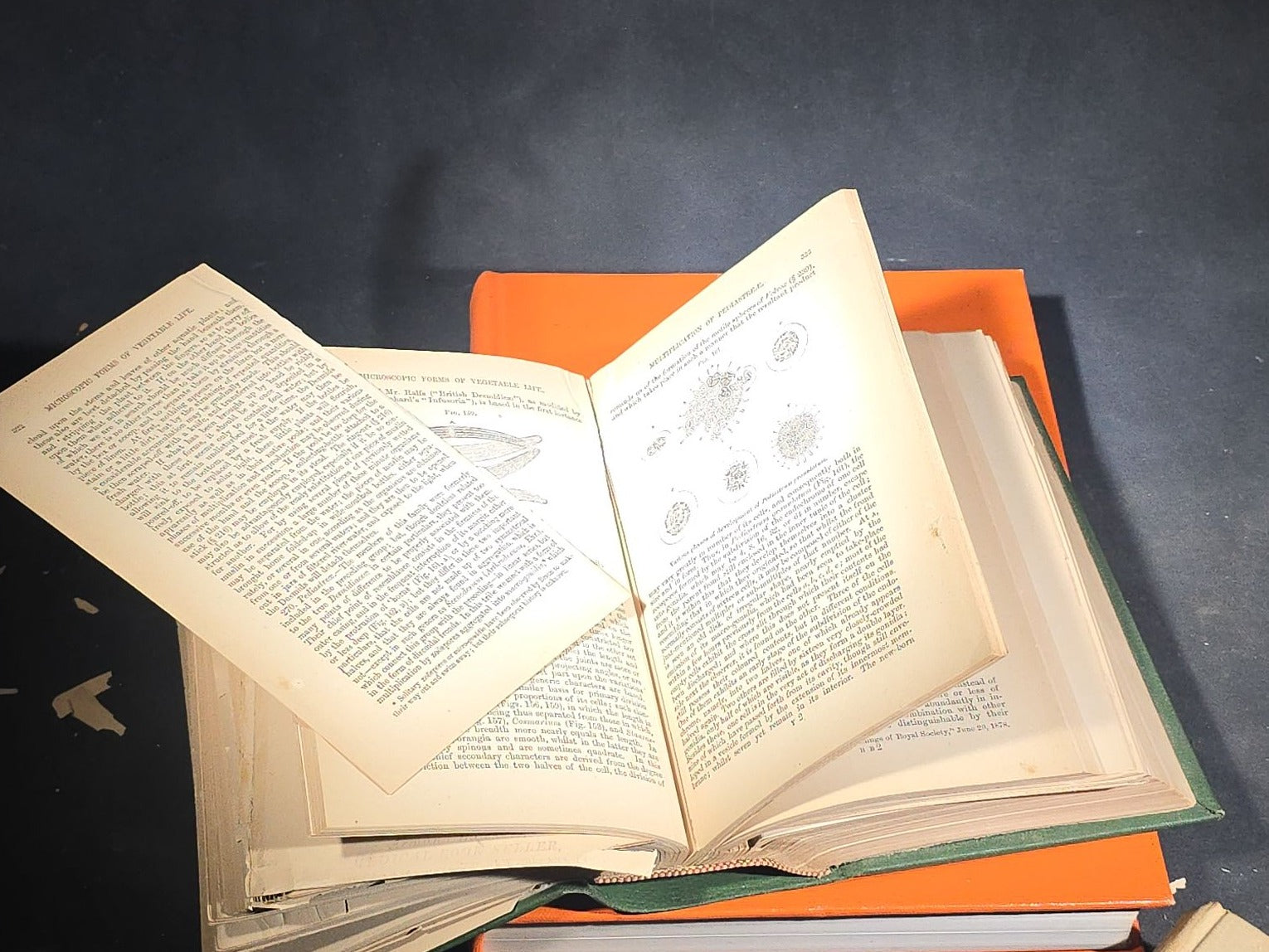 Grouping of Four Antique and Vintage Books including "The Microscope and Its Revelations" by William B. Carpenter, "They Called It Purple Heart Valley" by Margaret Bourke-White, "The Encyclopedia of UFOs," and "A History of Secret Societies"