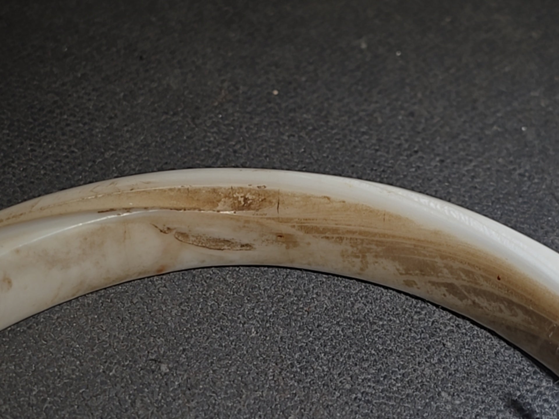 Antique Bone Cuff Bracelet with Collector's Tag Noting "Shell Bracelet Arizona" and "Circa 400 AD"