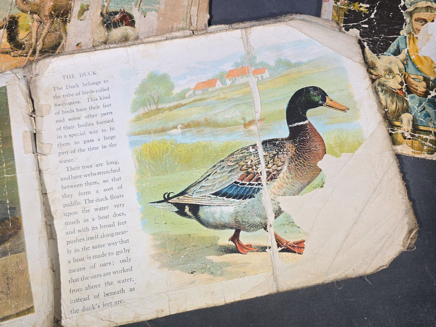 Grouping of Antique Craft Grade Illustrated Children's Books including "The Christmas Basket" by Mrs. Martha J. Lamb (1882), "Santa Claus & His Works" by McLoughlin Bros., "The Night Before Christmas," and Dean's Rag Book "Pets"