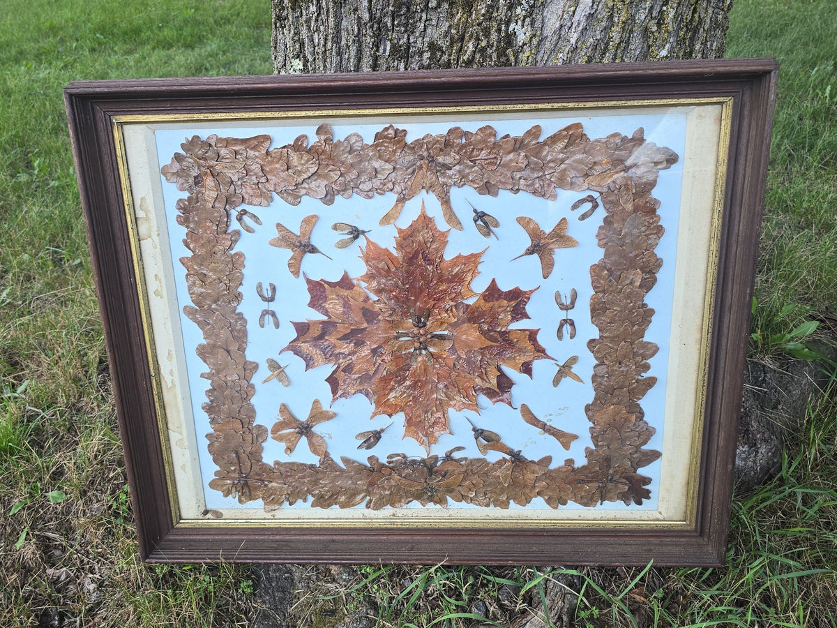 Antique Framed Pressed Leaf and Seed Pod Folk Art with Birds and Horseshoes, Labeled Mrs. Alfred Edwards, Natick, Massachusetts