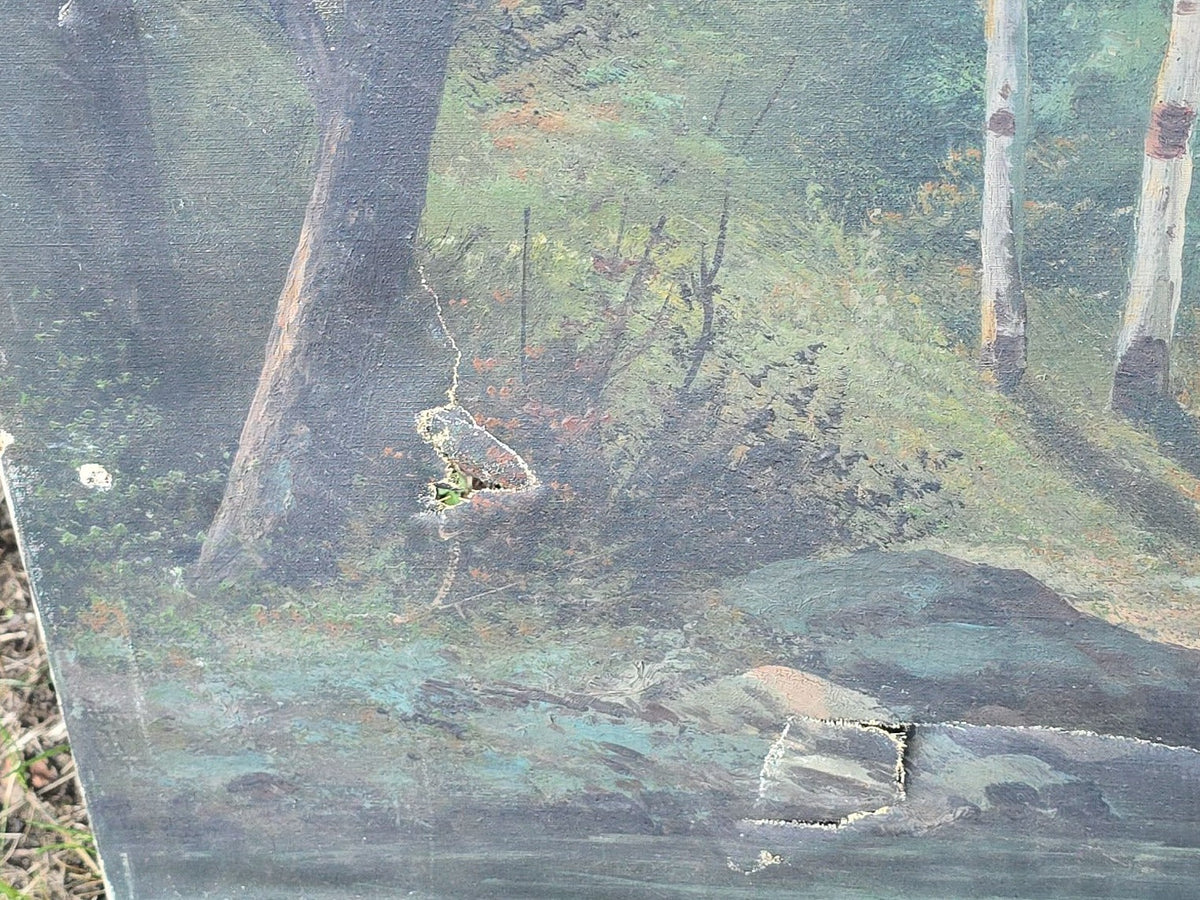 Antique Oil Painting on Canvas, Woodland Waterfall Landscape, Signed C.T. Mitchell, Note Poor Condition