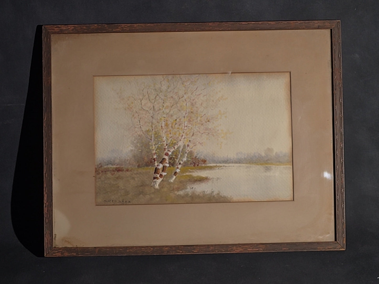Antique Framed Watercolor Painting on Paper, Birch Trees at Water's Edge, by Samuel R. Chaffee (1850-1913), Braus Galleries New York Label