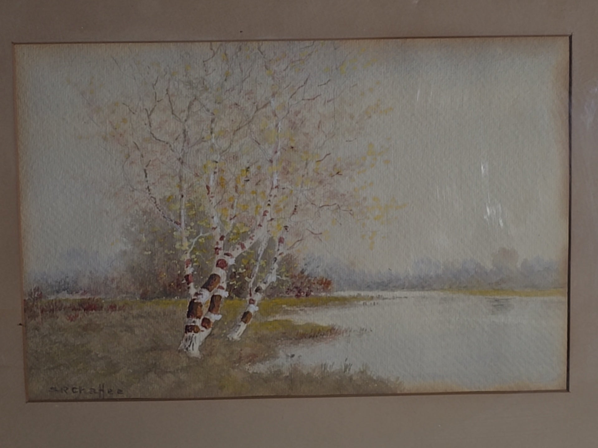 Antique Framed Watercolor Painting on Paper, Birch Trees at Water's Edge, by Samuel R. Chaffee (1850-1913), Braus Galleries New York Label