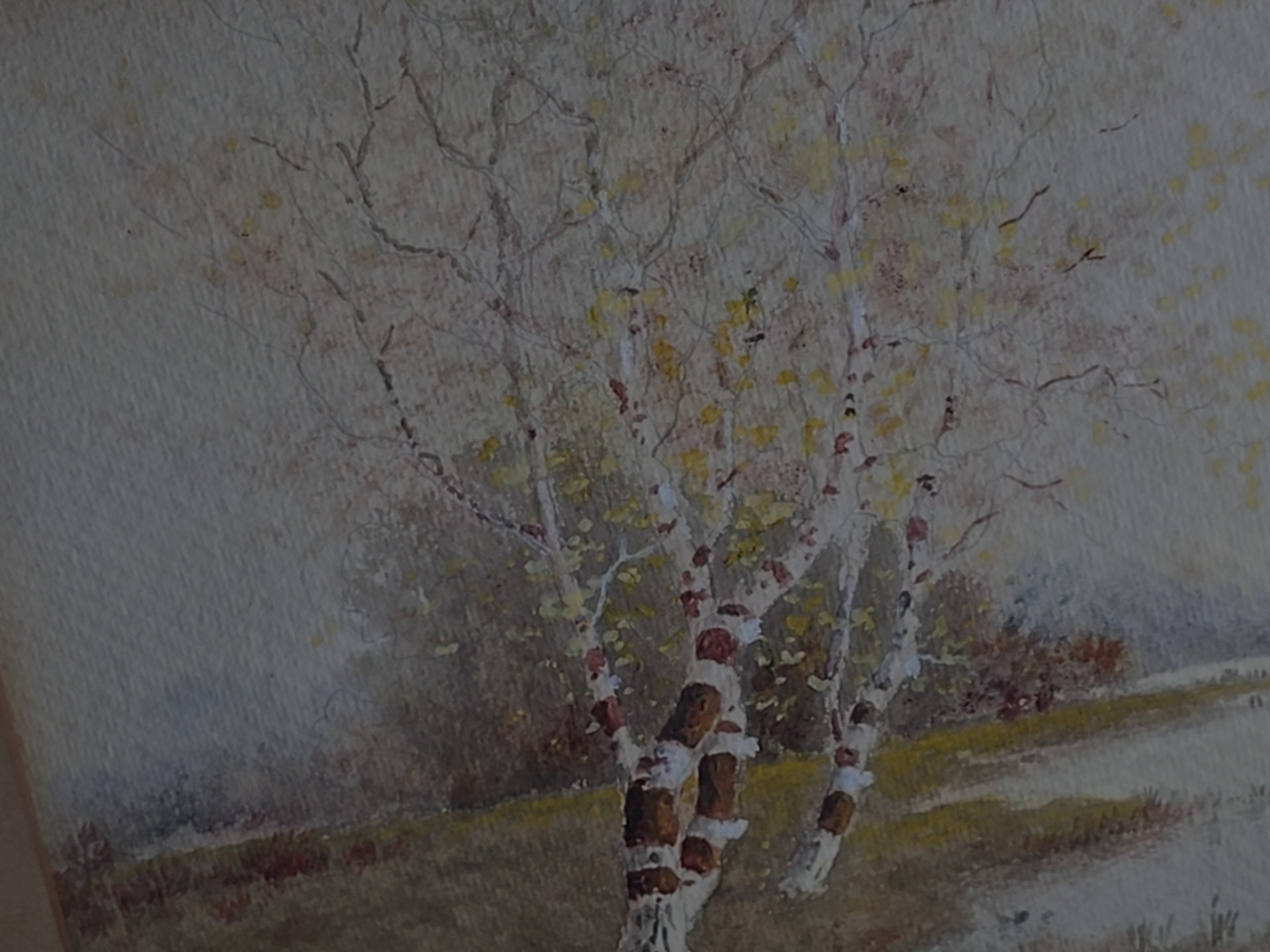 Antique Framed Watercolor Painting on Paper, Birch Trees at Water's Edge, by Samuel R. Chaffee (1850-1913), Braus Galleries New York Label