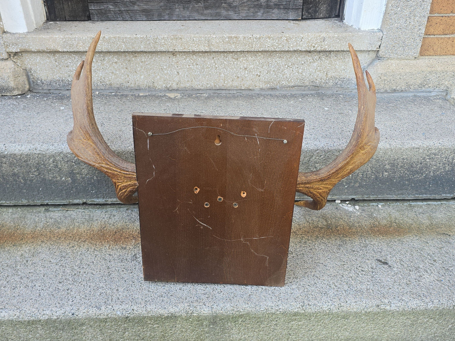 Vintage Mounted Moose Antlers on Wood Plaque, Newfoundland, September 26, 1973