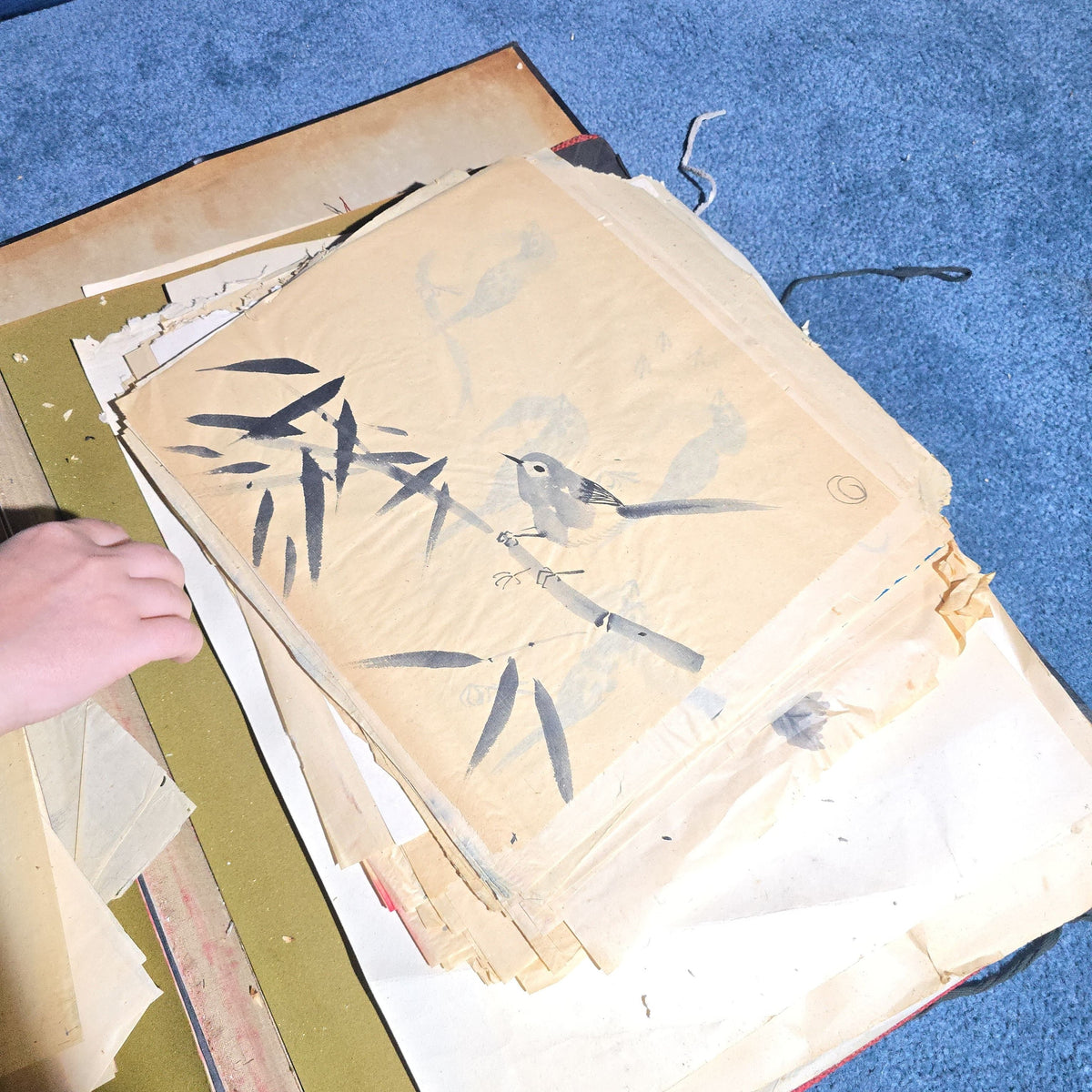 Vintage Japanese-Style Ink and Brush Art Portfolio by Toshiko Phipps, The Putney School, Vermont
