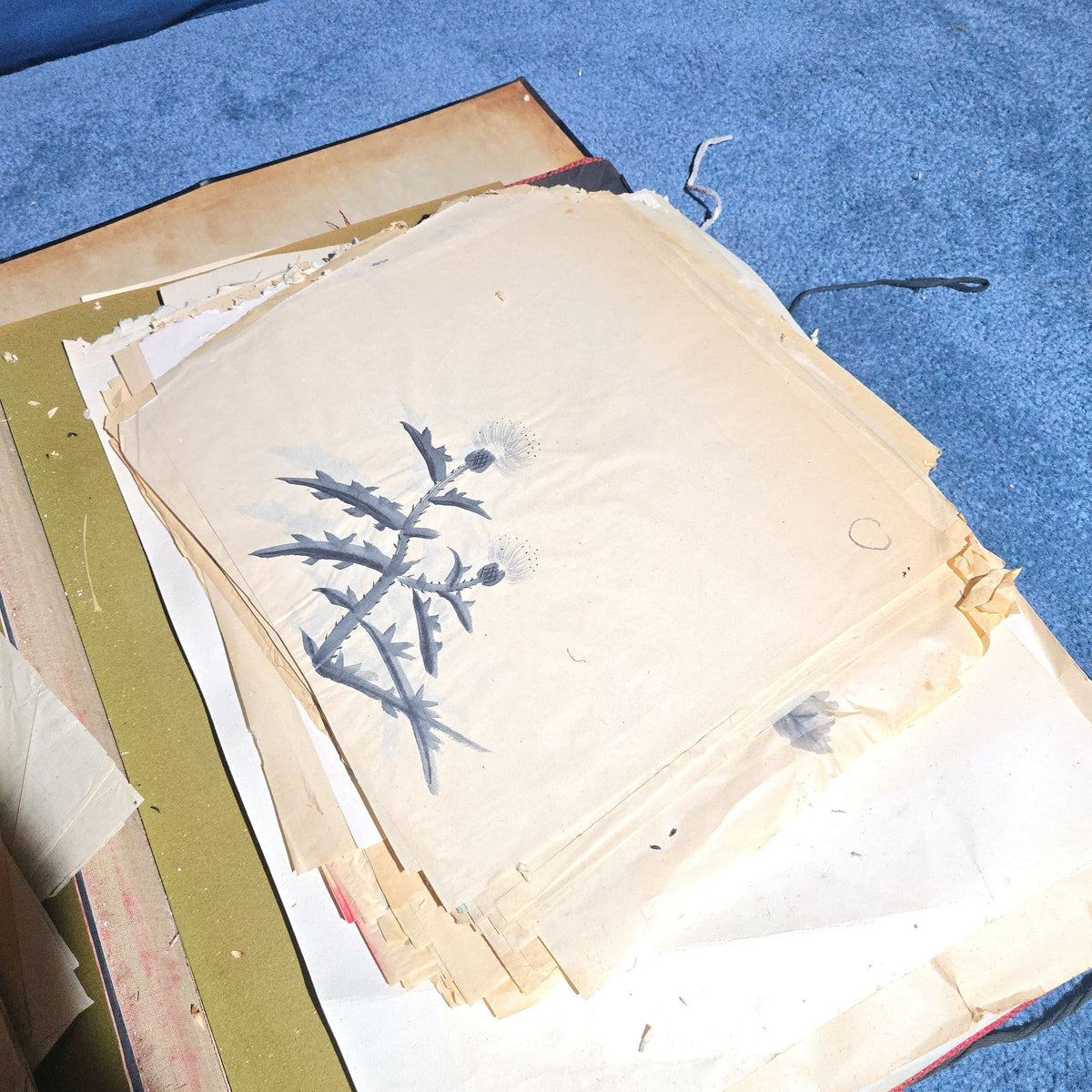 Vintage Japanese-Style Ink and Brush Art Portfolio by Toshiko Phipps, The Putney School, Vermont