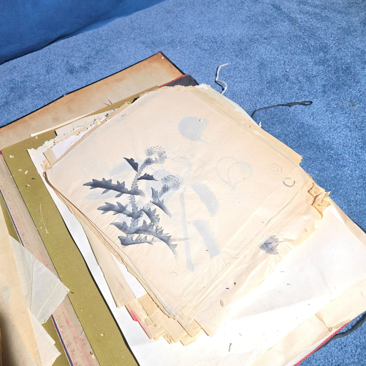 Vintage Japanese-Style Ink and Brush Art Portfolio by Toshiko Phipps, The Putney School, Vermont