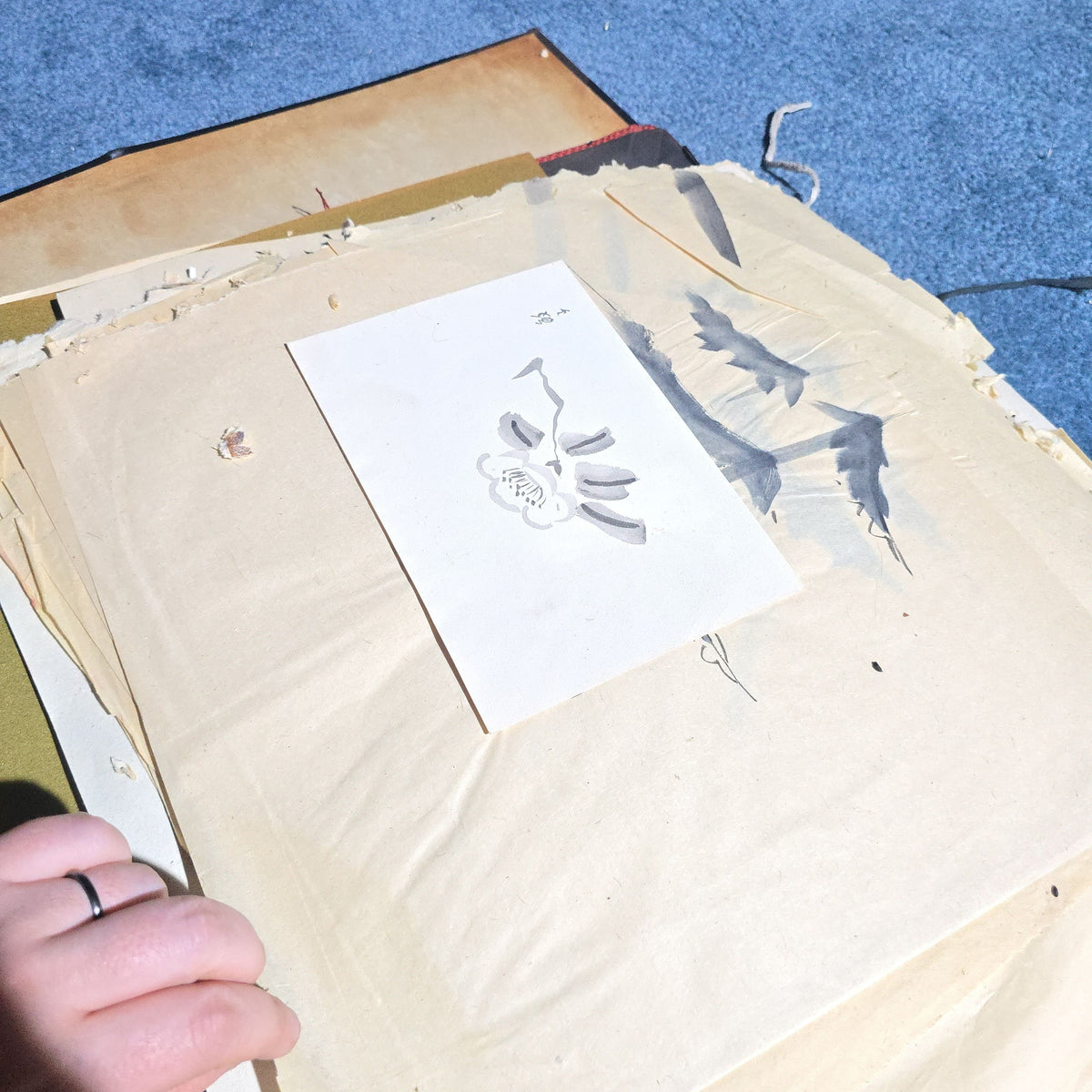 Vintage Japanese-Style Ink and Brush Art Portfolio by Toshiko Phipps, The Putney School, Vermont
