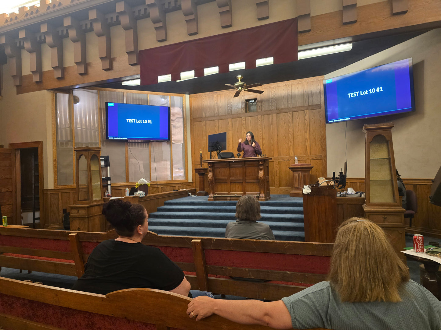AUCTION-TERMS