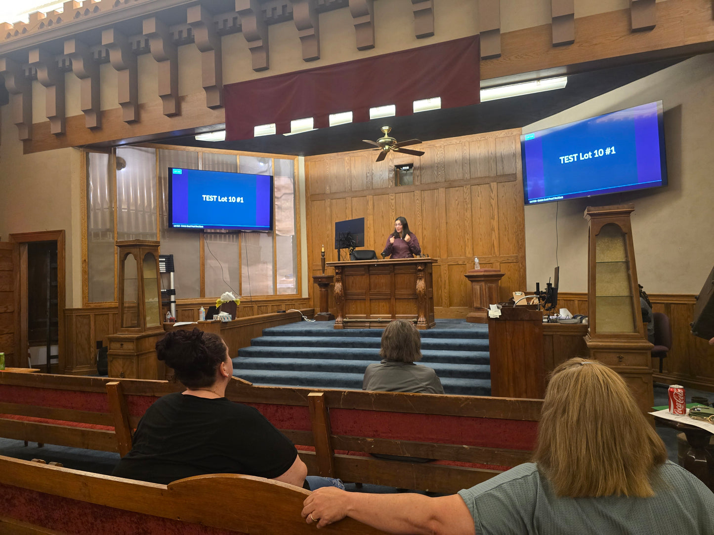 AUCTION-TERMS