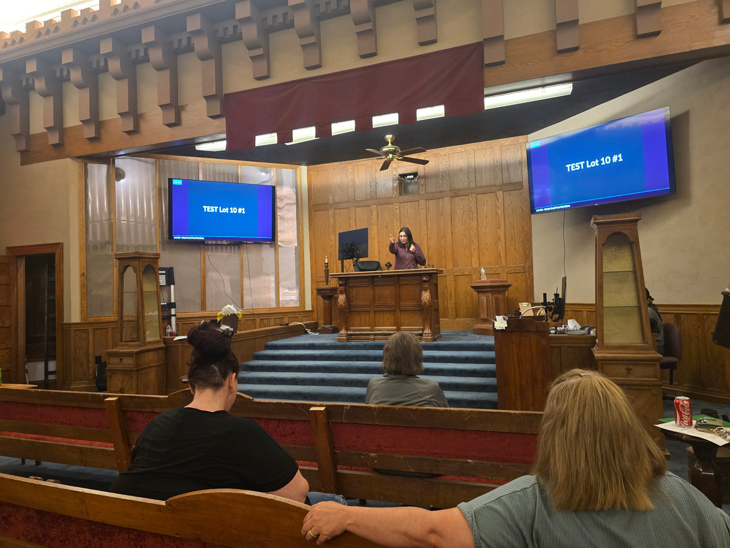 AUCTION-TERMS