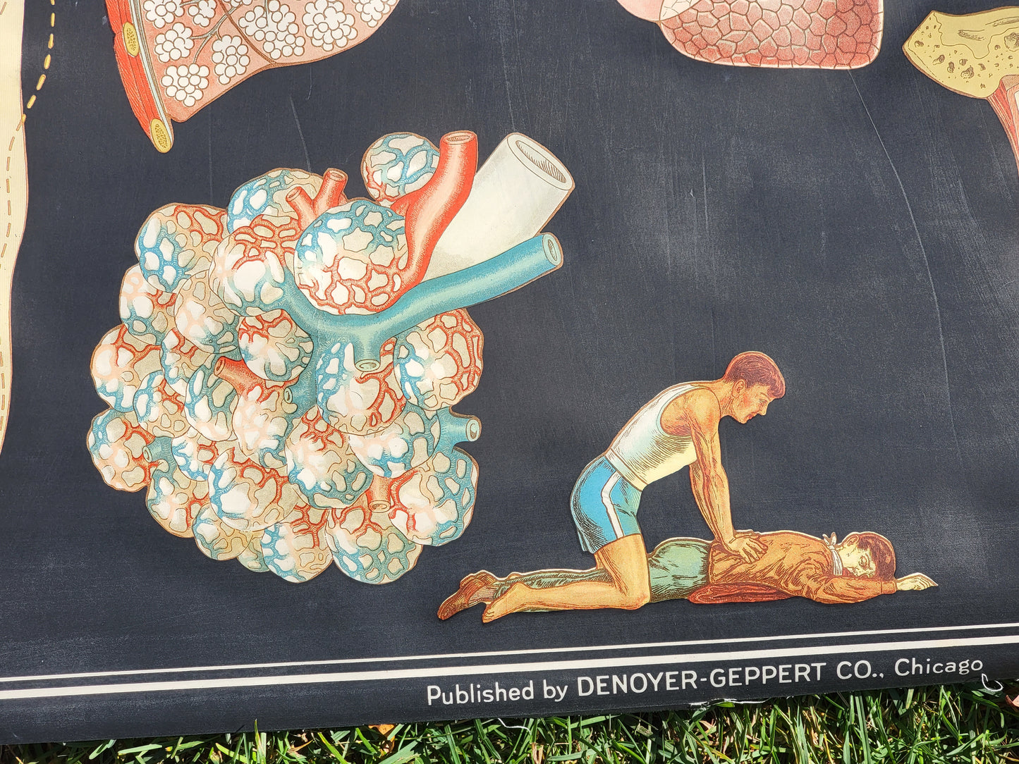 1930s Winslow Health and Hygiene Fabric Classroom Poster: Air and Health
