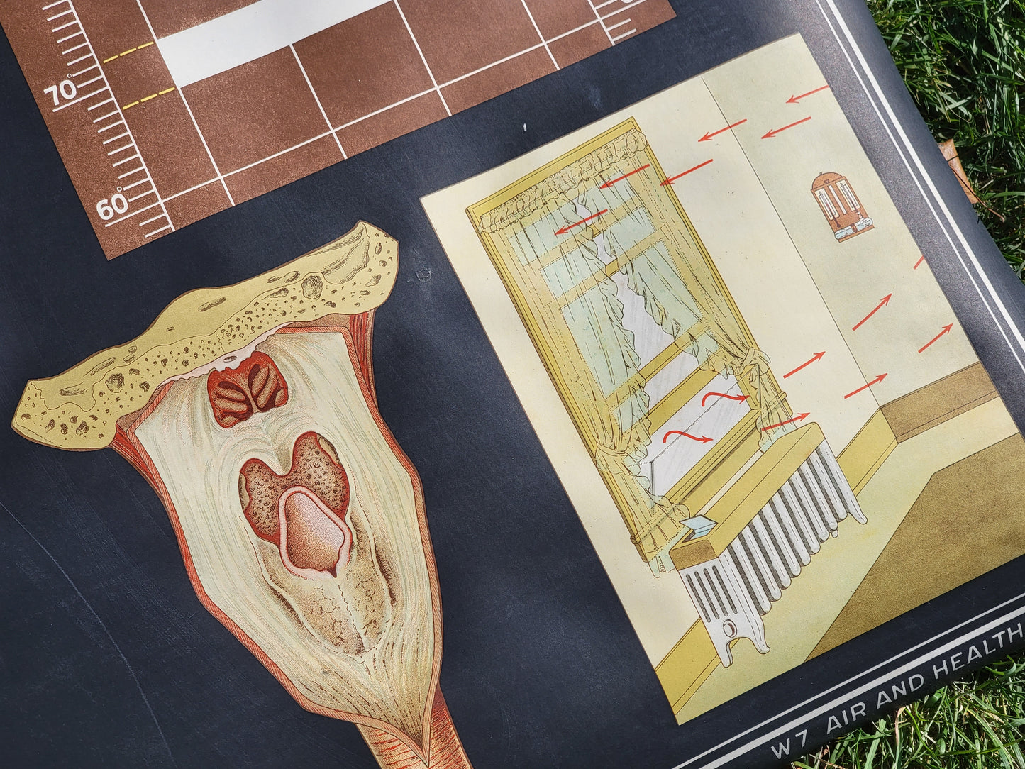 1930s Winslow Health and Hygiene Fabric Classroom Poster: Air and Health