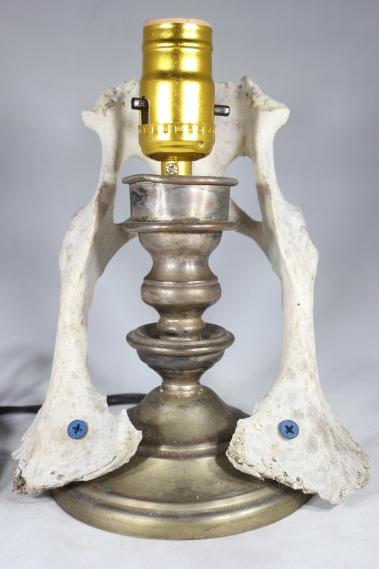 Animal Bone Lamp with Brass Candlestick Base